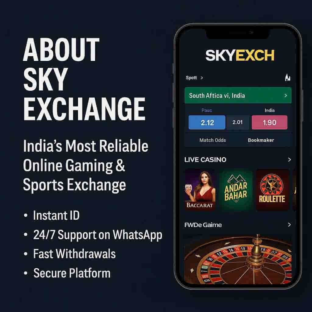 What is Skyexchange Art